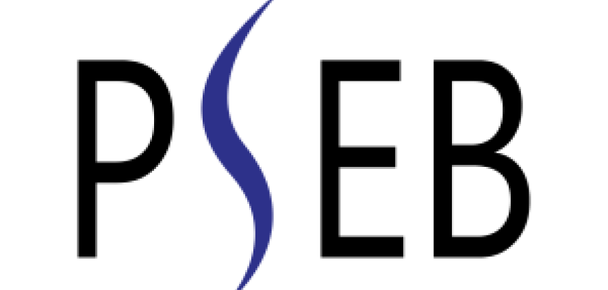 PSEB — Pakistan Software Export Board